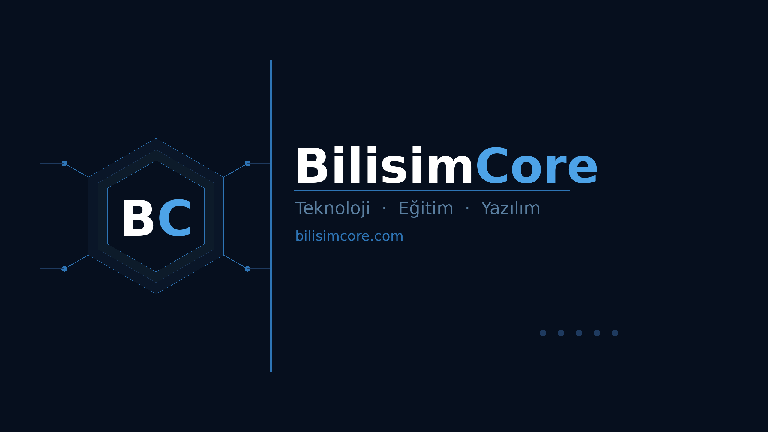 BilisimCore